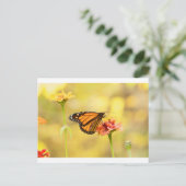 Monarch Butterfly über Zinnia Postkarte (Stehend Vorderseite)