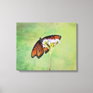 Monarch Butterfly und Blume Leinwand Art Print
