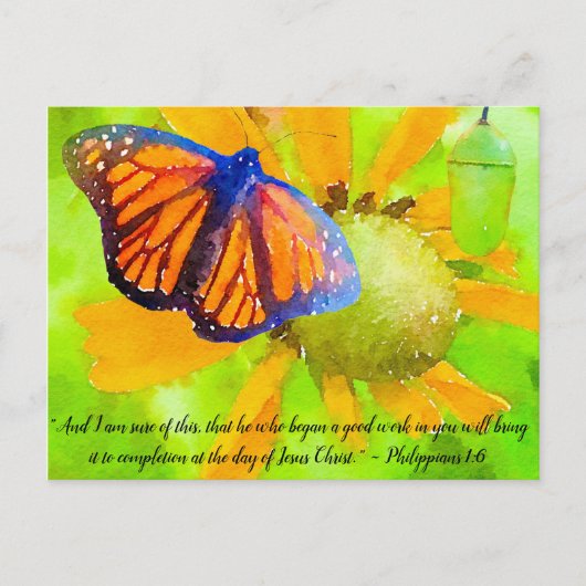 Monarch Butterfly und Chrysalis Philippianer 1:6 Postkarte (Vorderseite)