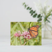 Monarch Butterfly und Freund Postkarte (Stehend Vorderseite)