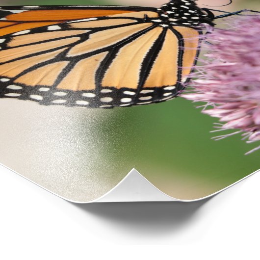 Monarch Butterfly und Hummel auf der Wildblume Fotodruck (Ecke)