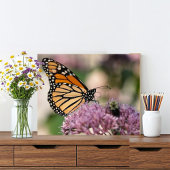 Monarch Butterfly und Hummel auf der Wildblume Fotodruck