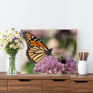 Monarch Butterfly und Hummel auf der Wildblume Fotodruck