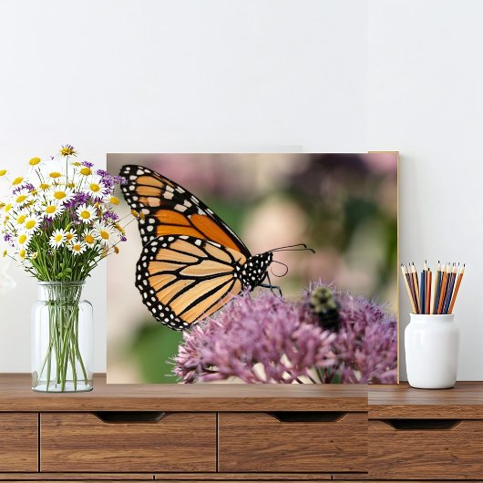 Monarch Butterfly und Hummel auf der Wildblume Fotodruck