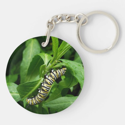 Monarch Butterfly und Raupe Fotografisch Schlüsselanhänger (Rückseite)