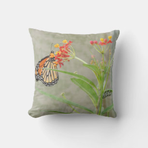 Monarch Butterfly und Raupe Kissen