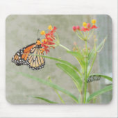 Monarch Butterfly und Raupe Mousepad (Vorne)