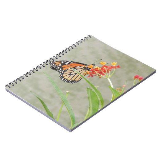 Monarch Butterfly und Raupe Notizblock (Linke Seite)