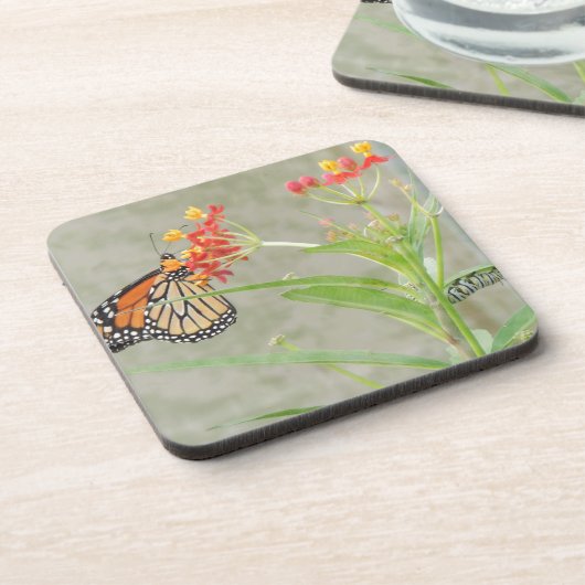 Monarch Butterfly und Raupe Untersetzer (Linke Seite)