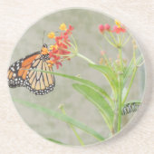 Monarch Butterfly und Raupe Untersetzer (Vorne)