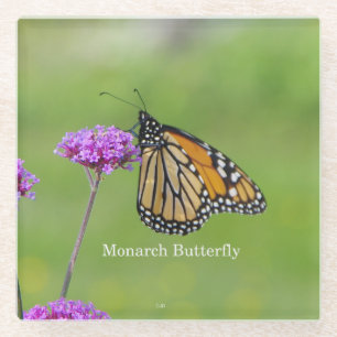 Monarch Butterfly Untersetzer