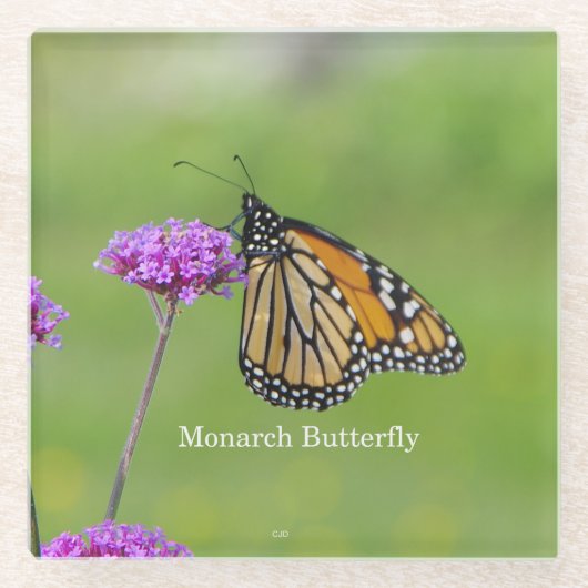 Monarch Butterfly Untersetzer (Vorderseite)