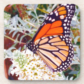 Monarch Butterfly Untersetzer (Vorderseite)