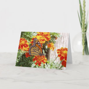 "Monarch Butterfly" - Well Card Nr. 1 Karte