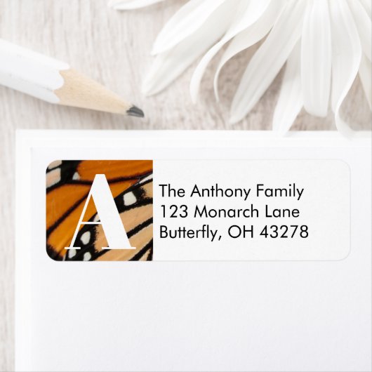 Monarch Butterfly Wing Rücksendeadresse (Insitu)