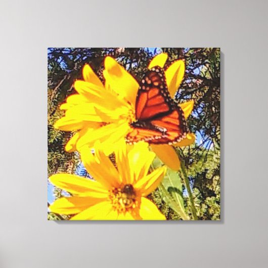 Monarch Butterfly Wrapped Canvas Leinwanddruck (Vorderseite)