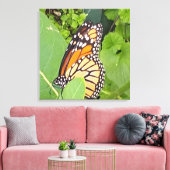 Monarch Butterfly Wrapped Canvas Leinwanddruck (Insitu (Wohnzimmer))