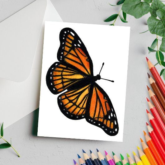 Monarch Butterfly Zeichne Farbstift Postkarte