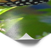 Monarch Butterfly Zitatposter Fotodruck (Ecke)