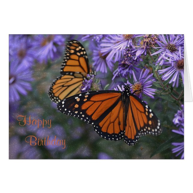Monarch Butterfly zum Geburtstag (Vorderseite (Horizontal))
