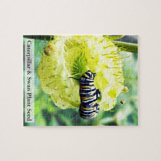 Monarch Caterpillar & Swan Plant Seed 110 Pcs Puzzle (Horizontal)