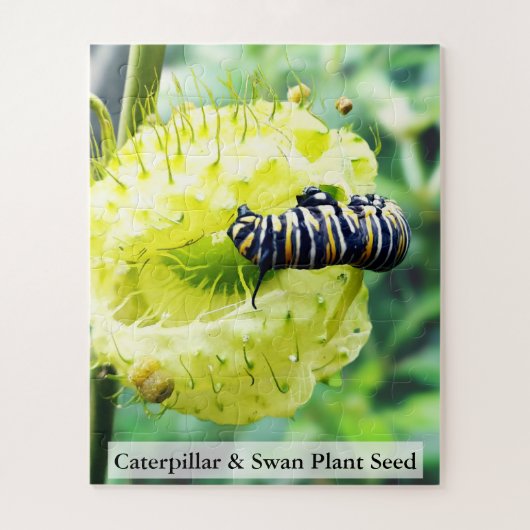 Monarch Caterpillar & Swan Plant Seed 56 Pcs Puzzle (Vertikal)