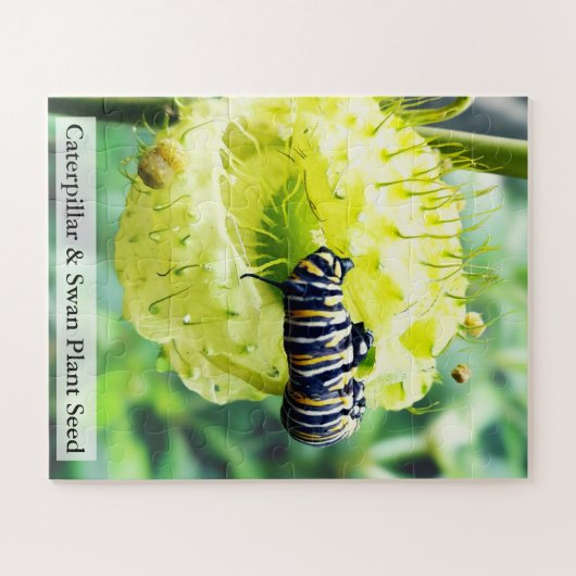 Monarch Caterpillar & Swan Plant Seed 56 Pcs Puzzle (Horizontal)