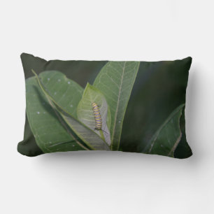 Monarch Caterpillow Lendenkissen
