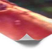 Monarch Chrysalis 2018 - Poster (Ecke)