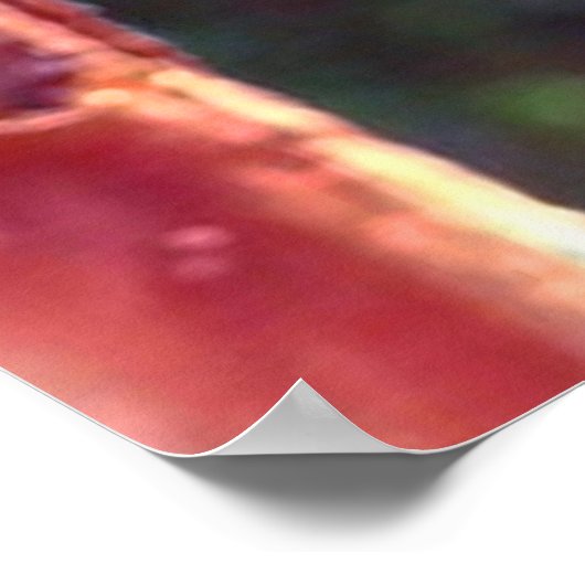 Monarch Chrysalis 2018 - Poster (Ecke)