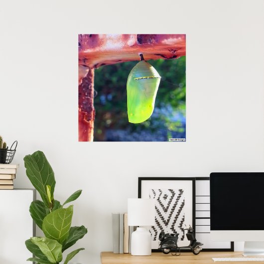 Monarch Chrysalis 2018 - Poster (Heimbüro)
