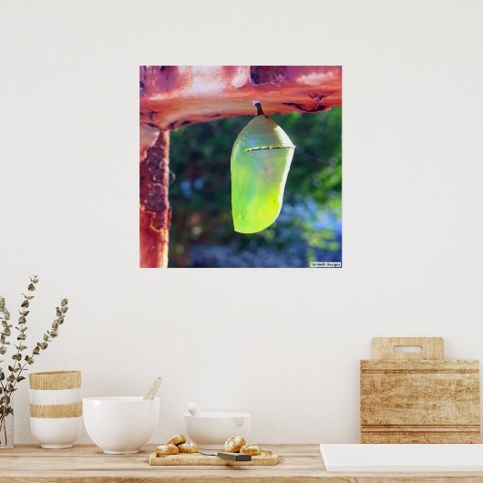Monarch Chrysalis 2018 - Poster (Küche)