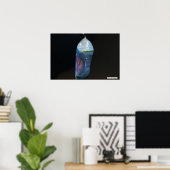 Monarch Chrysalis 2022 - Poster (Heimbüro)
