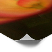 Monarch Chrysalis Poster (Ecke)