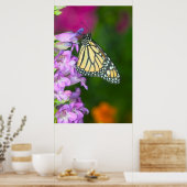 Monarch | Danaus Plexippus Poster (Küche)