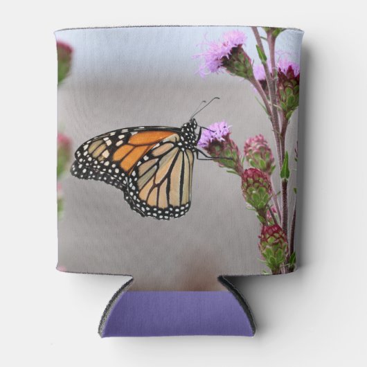 Monarch Dosenkühler (Vorderseite)