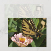 Monarch-Falter Postkarte (Vorne/Hinten)