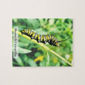 Monarch-Falter-Raupen-Fütterung 110 Teile Puzzle (Horizontal)