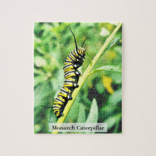 Monarch-Falter-Raupen-Fütterung 110 Teile Puzzle