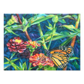 Monarch Fotodruck (Vorne)