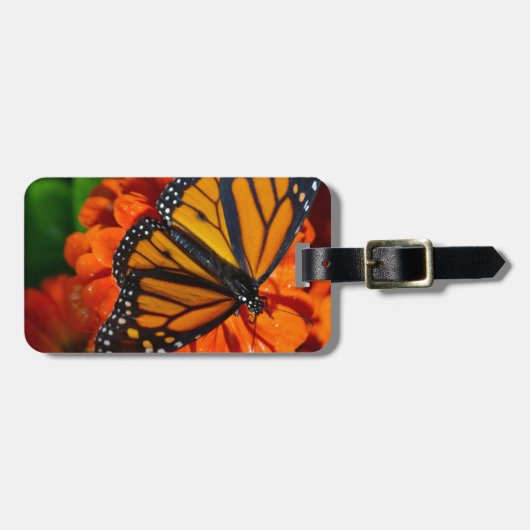 Monarch Gepäckanhänger (Vorderseite horizontal)