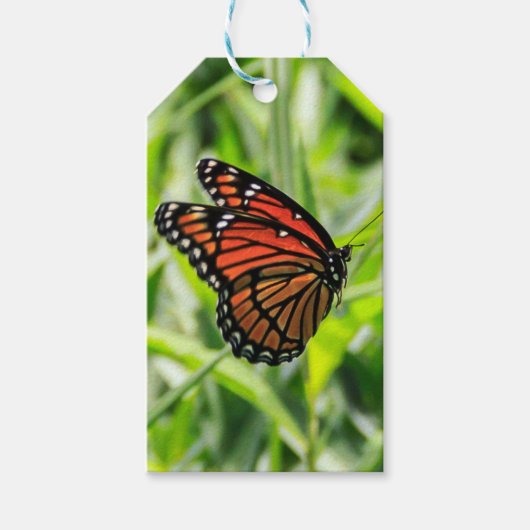 Monarch Geschenkanhänger (Vorderseite)