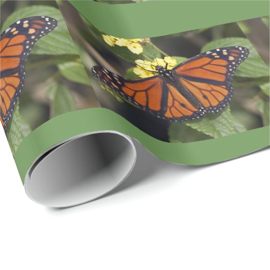 Monarch Geschenkpapier (Rolleneckpunkt)