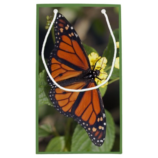 Monarch Gift Bag Kleine Geschenktüte (Rückseite)