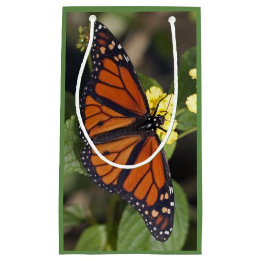 Monarch Gift Bag Kleine Geschenktüte (Vorderseite)