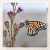 Monarch Glasuntersetzer (Vorderseite)