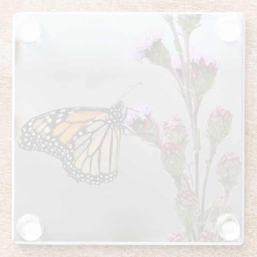 Monarch Glasuntersetzer (Rückseite)