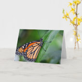 Monarch Grußkarte Karte (Gelbe Blume)