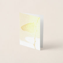 Monarch im Morgenlicht