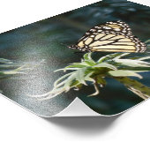 Monarch in Warten Fotodruck (Ecke)